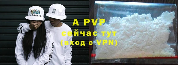ПСИЛОЦИБИНОВЫЕ ГРИБЫ Беломорск