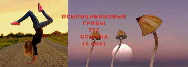 гашик Белоозёрский