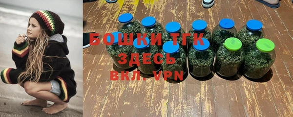ПСИЛОЦИБИНОВЫЕ ГРИБЫ Беломорск