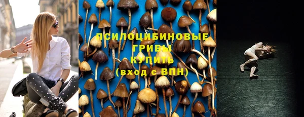 хмурый Армянск