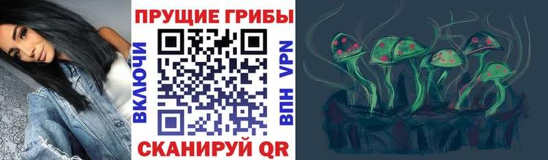 Псилоцибиновые грибы Cubensis  Кимры 